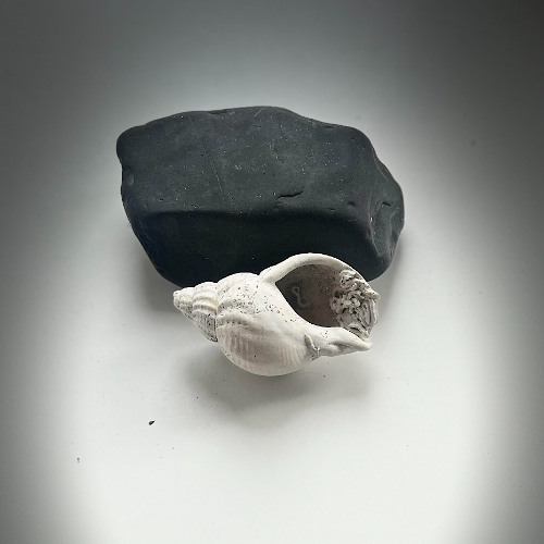 The Edge (Empty Shell)