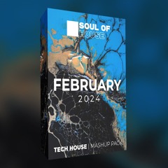 TECH HOUSE - MASHUP PACK | February 2024 [30+ TRACKS] Free Download