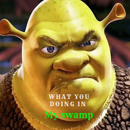 What Are You Doing In My Swamp ( DJ Raso )