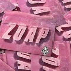 Kid Trash - the zoap freestyle [slatepsycho]