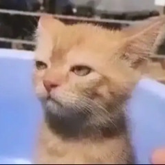 TikTok taste 🤓