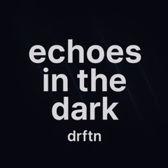 Echoes in the Dark