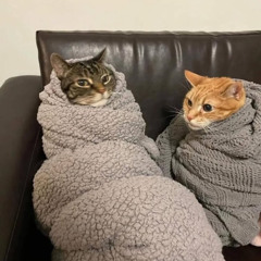 TENBLANK - Glass Heart cover