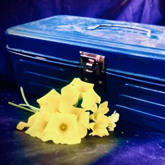 Safekeeping(Carefully)