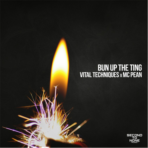 Vital Techniques x MC Pean - Bun up the Ting [OUT NOW]