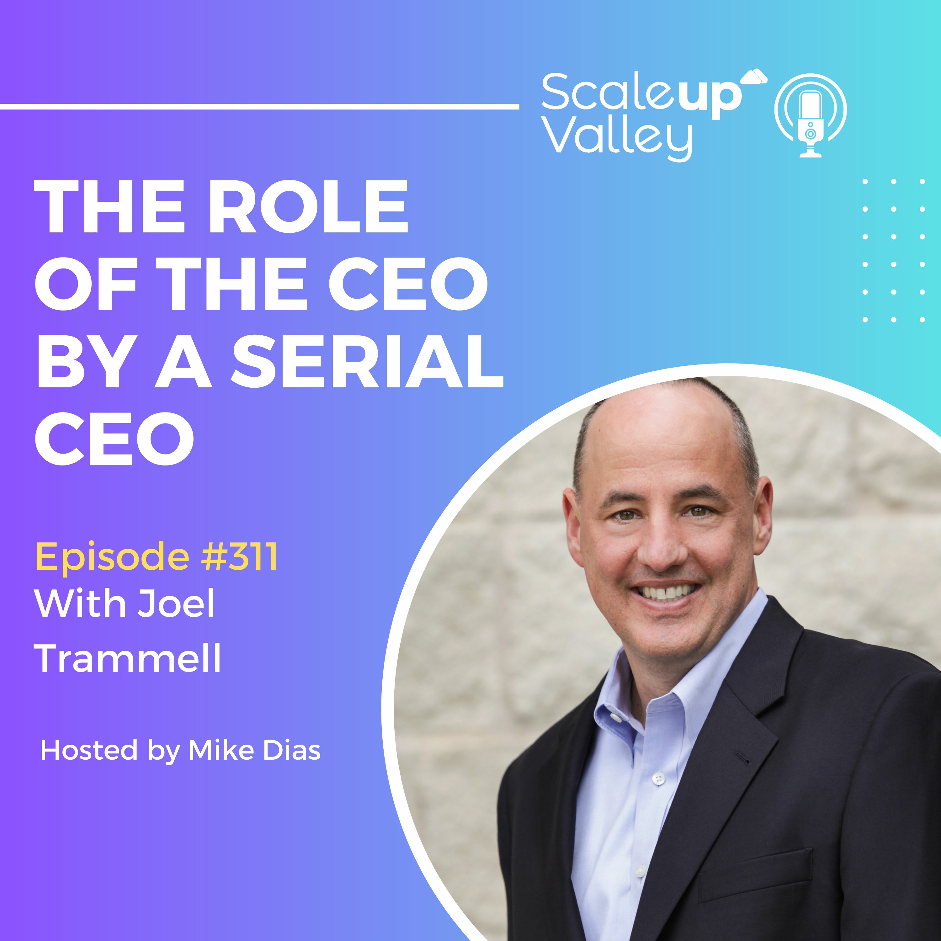 Scaleup Valley Podcast
