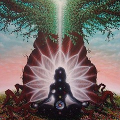 A V I O 7 - Divine