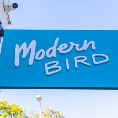 Modern Bird Traverse City - With husband and wife chefs/co-owners Emily Stewart + Andy Elliot