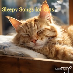 Cat Music for Cats