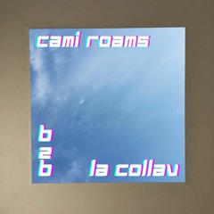 Cami Roams B2B La Collav - 05/04/24