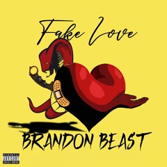 Fake Love - Brandon Beast