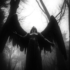 Blackout (p.hitosh)