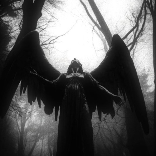 Blackout (p.hitosh)