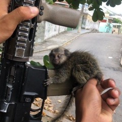 MC PELÉ JHONSON - MEDLEY PROIBIDÃO [[ MEEK DA ESPANHA ]] 2025(MP3_160K).mp3