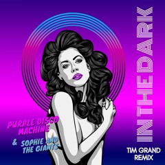 Purple Disco Machine & Sophie and the Giants - In the Dark (Tim Grand Remix)
