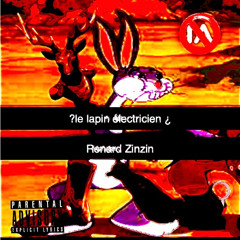 Le lapin électricien