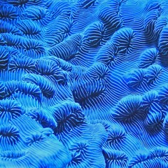 Escape N°0 - when one left