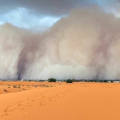 Sweet Desert Storm