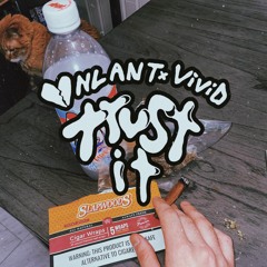 nl ant x vivid - trust it (+ kd1)