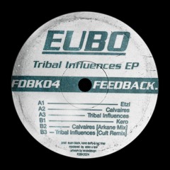 Tribal Influences EP [FDBK04]