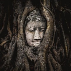 Dhamma Talk Buddhism and Pragmatism
