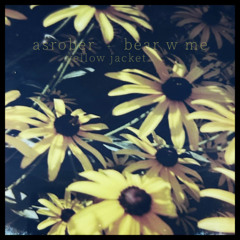 Yellow Jacket (Asrober VIP) (Dusk)