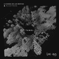 La Danza De Las Bestias & Plyzitron - Post (Salvador Poletti Remix)