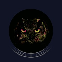 Dark Banger Trap Beat - "OWL"