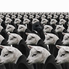 BLACK SHEEP