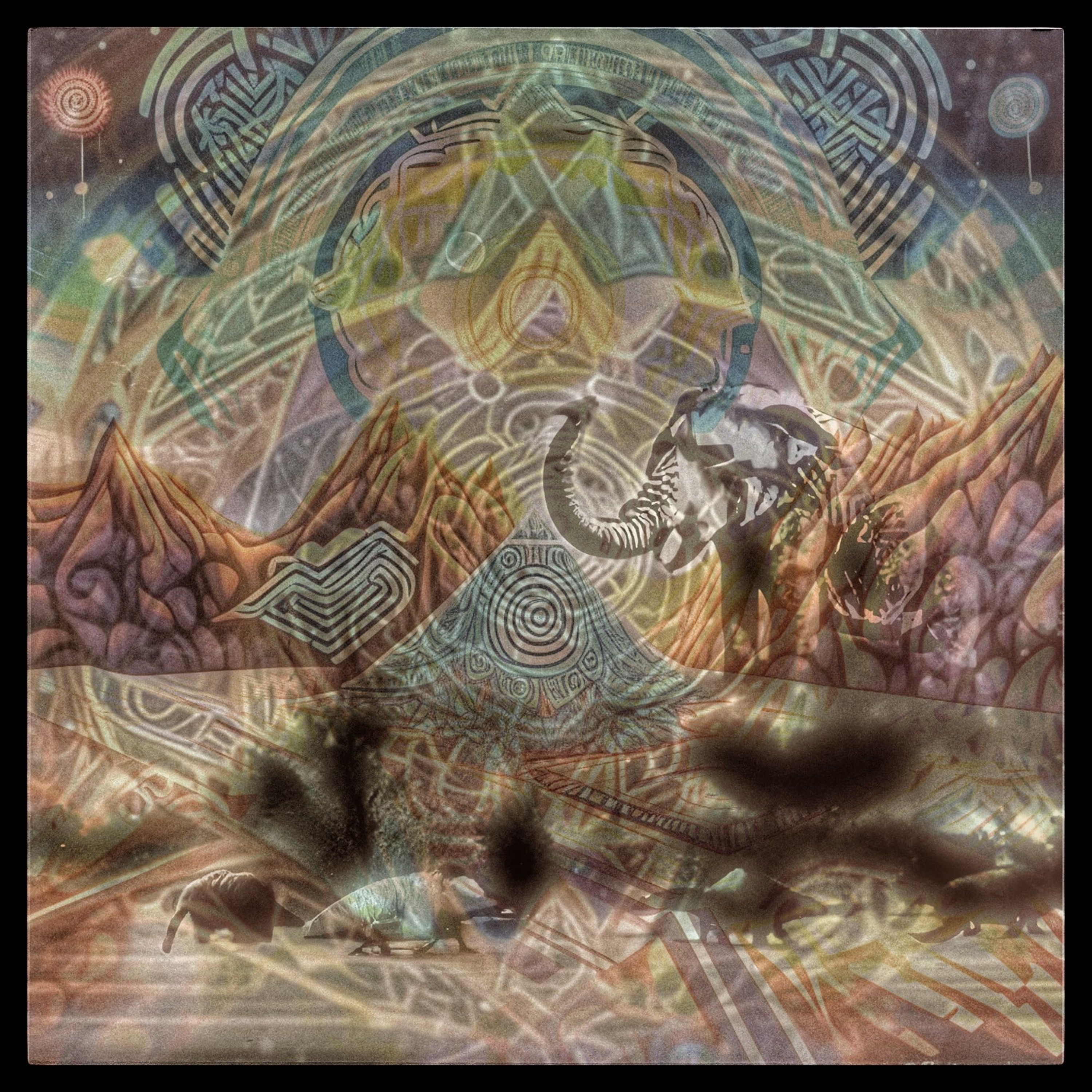 SWEETJUSTICE episode artwork