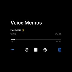 Selena Gomez - Souvenir (Song Cover)