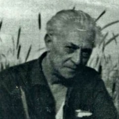 Ahmet Muhip Dıranas - Kar (Okuyan İsmet ÖZEL)