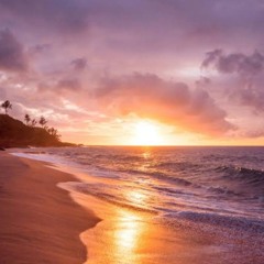 Le soleil se lèvera (1)