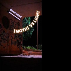 moth vs light
