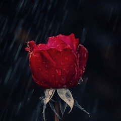 JayR - Still Remember You (Prod.Saudade)