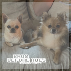 Bros before hoes