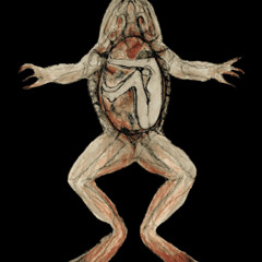 16siah - Bestest2 (satisfaction) (@pblaz3up)