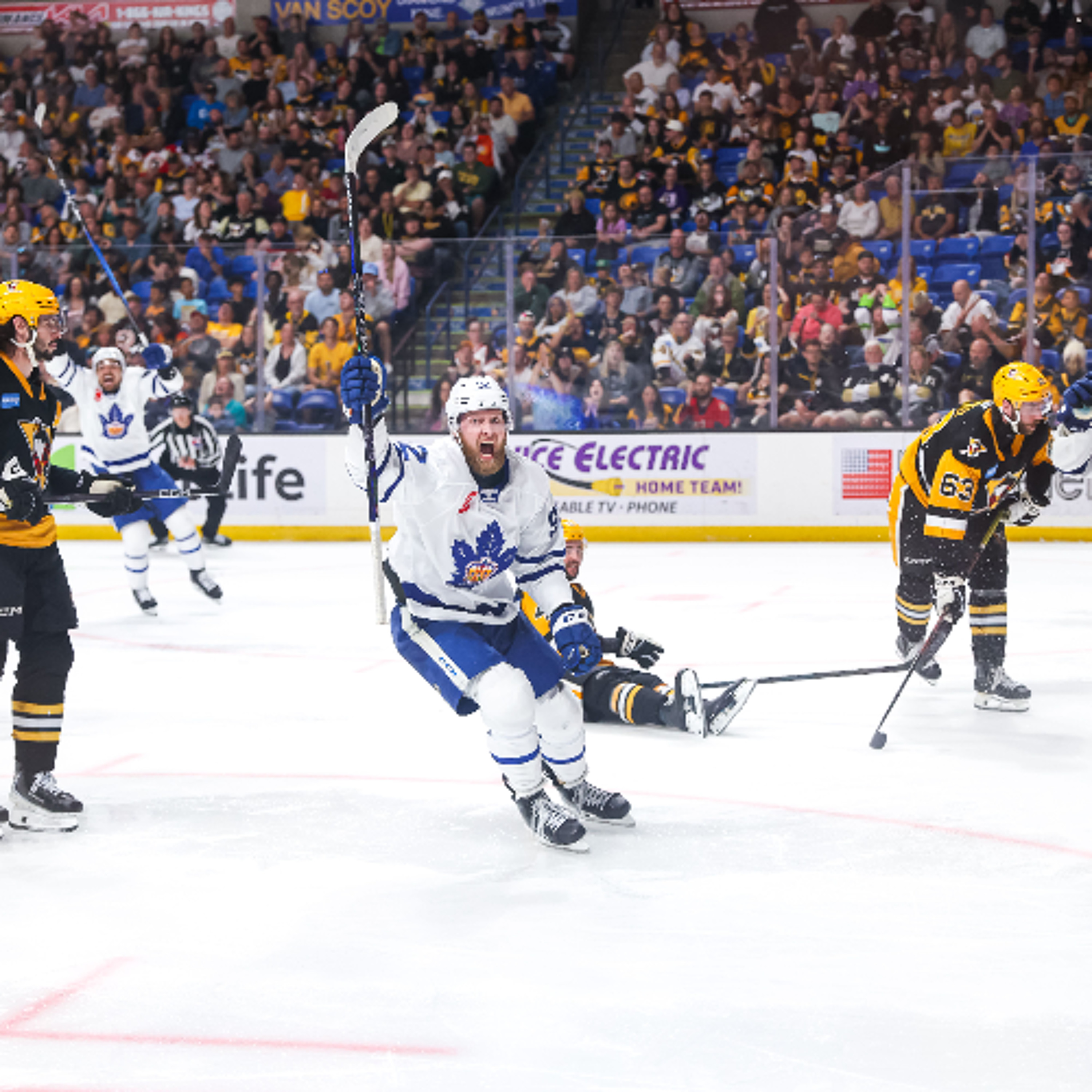 Sunday, June 7:  The Toronto Marlies Experience Game 6 Recap