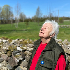 Elu Maal - Ivo Linna ja Supernova