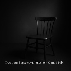 Duo pour violoncelle et Harpe opus 114b