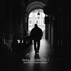 DINDEE Spring House Bites Vol. 7 - 15 Minutes miniMIX