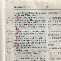 Behold, My Servant whom I have chosen | Matthew 12:18-21 | 感谢主 | Melody by Zion K. Park ('22. 7)