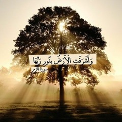وَأَشْرَقَتِ الْأَرْضُ بِنُورِ رَبِّهَا