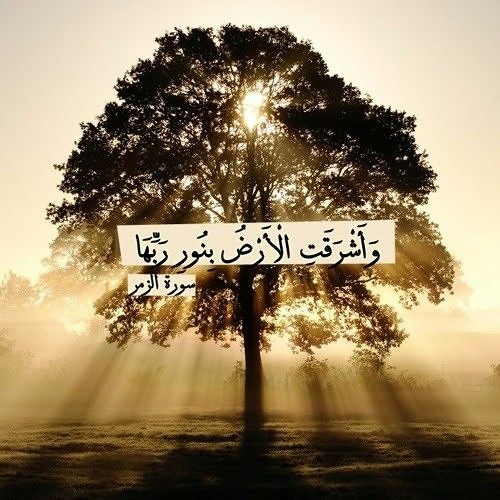 وَأَشْرَقَتِ الْأَرْضُ بِنُورِ رَبِّهَا