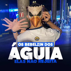 OS BEBELZIN DOS ÁGUIAS ELAS NÃO REJEITA - OS BEBELZIN DA FAEFID - FUNK RJ (MC NEGRITIN, DJ LT)