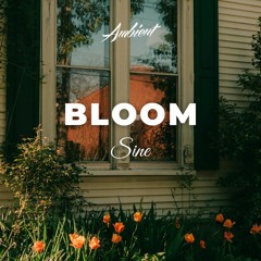 Sine - Bloom
