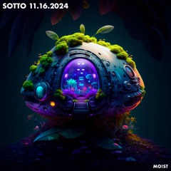 SOTTO 11.16.2024