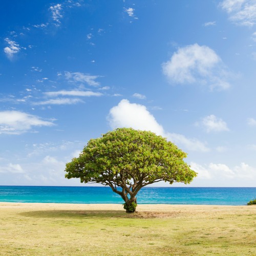 Tropical House Mix