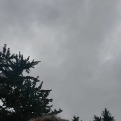 Rainy Day Improv 8 - 22 - 2021