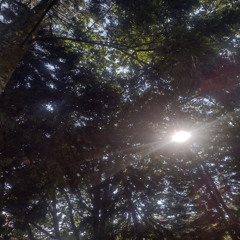 Yutori - Efimero